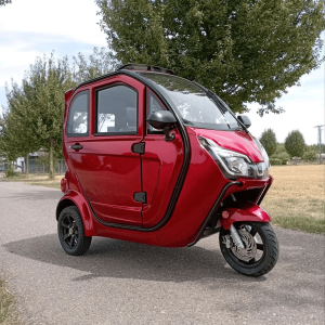 SOFORT VERFÜGBAR 3 Rad Kabinenroller 25/45 kmh Elektromobil Mopedauto Mofa